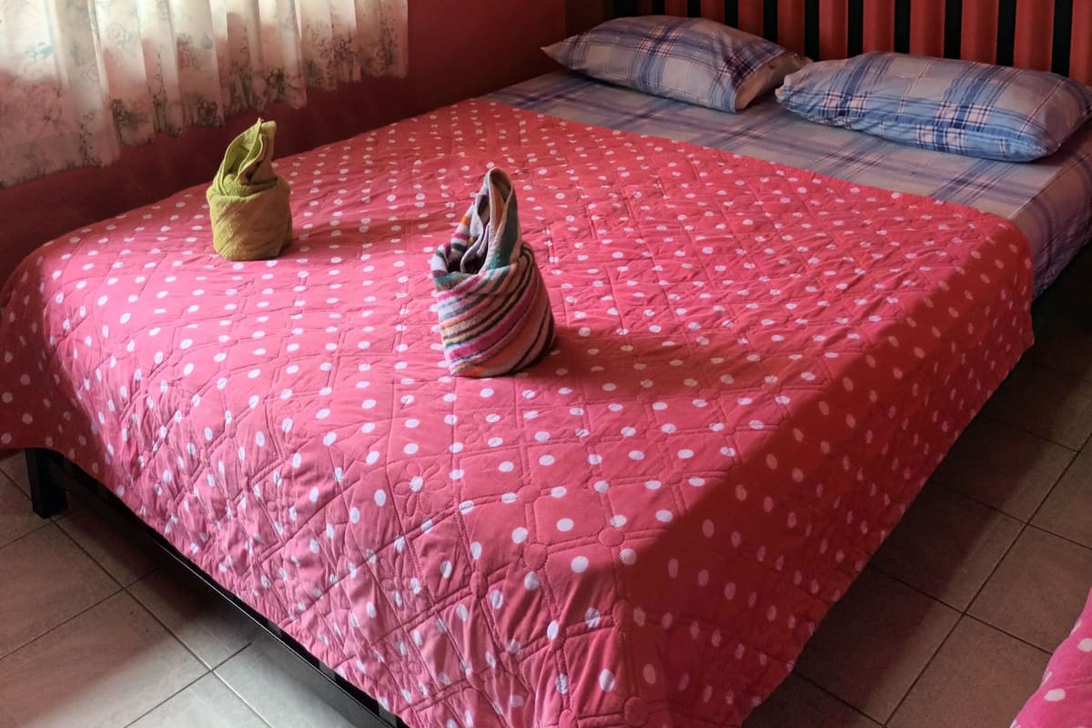Standard Double Room with AC