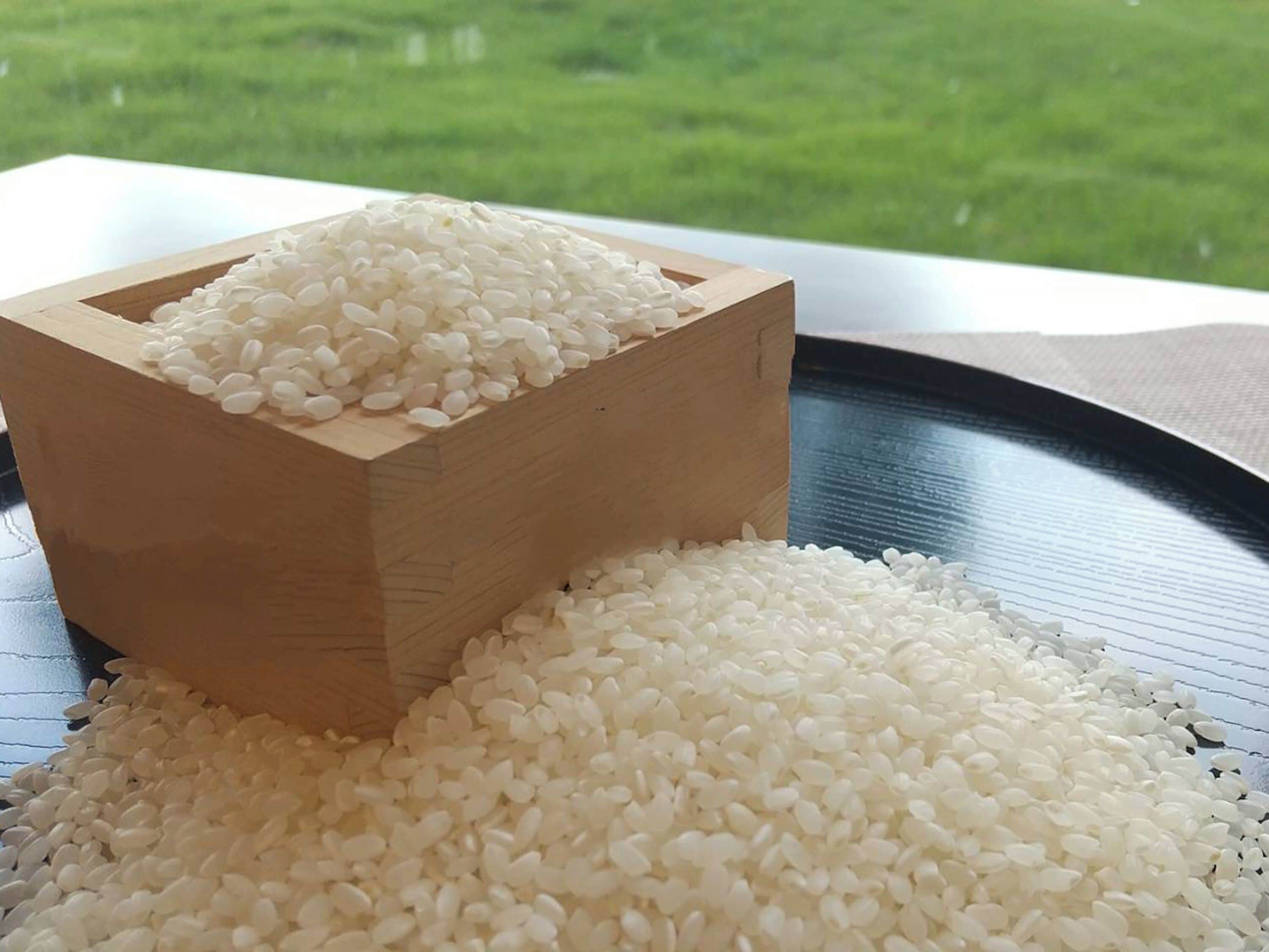 Foto - Toyoko Inn Narita Airport Shinkan