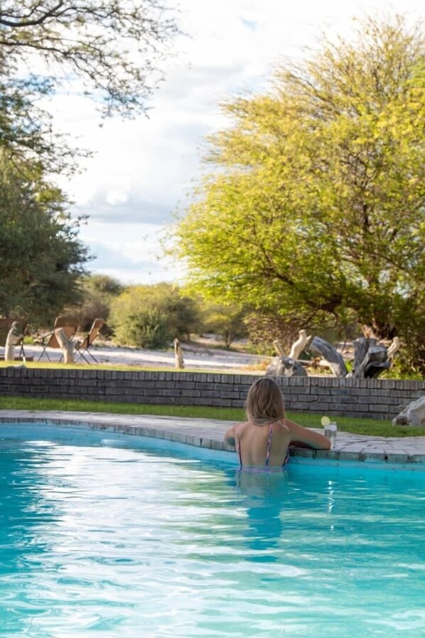 Outdoor pool, pool umbrellas, pool loungers