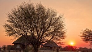 View from room - Grassland Safari Lodge (Ghanzi)