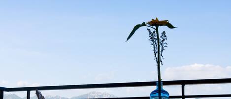 Appartement Panoramique, 3 chambres, vue mer | Balcon