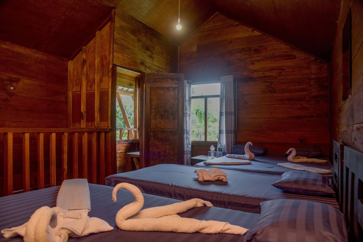 A wooden cabin room with two beds, a window, and a door leading outside.