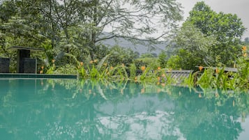 Seasonal outdoor pool, free pool cabanas, pool umbrellas