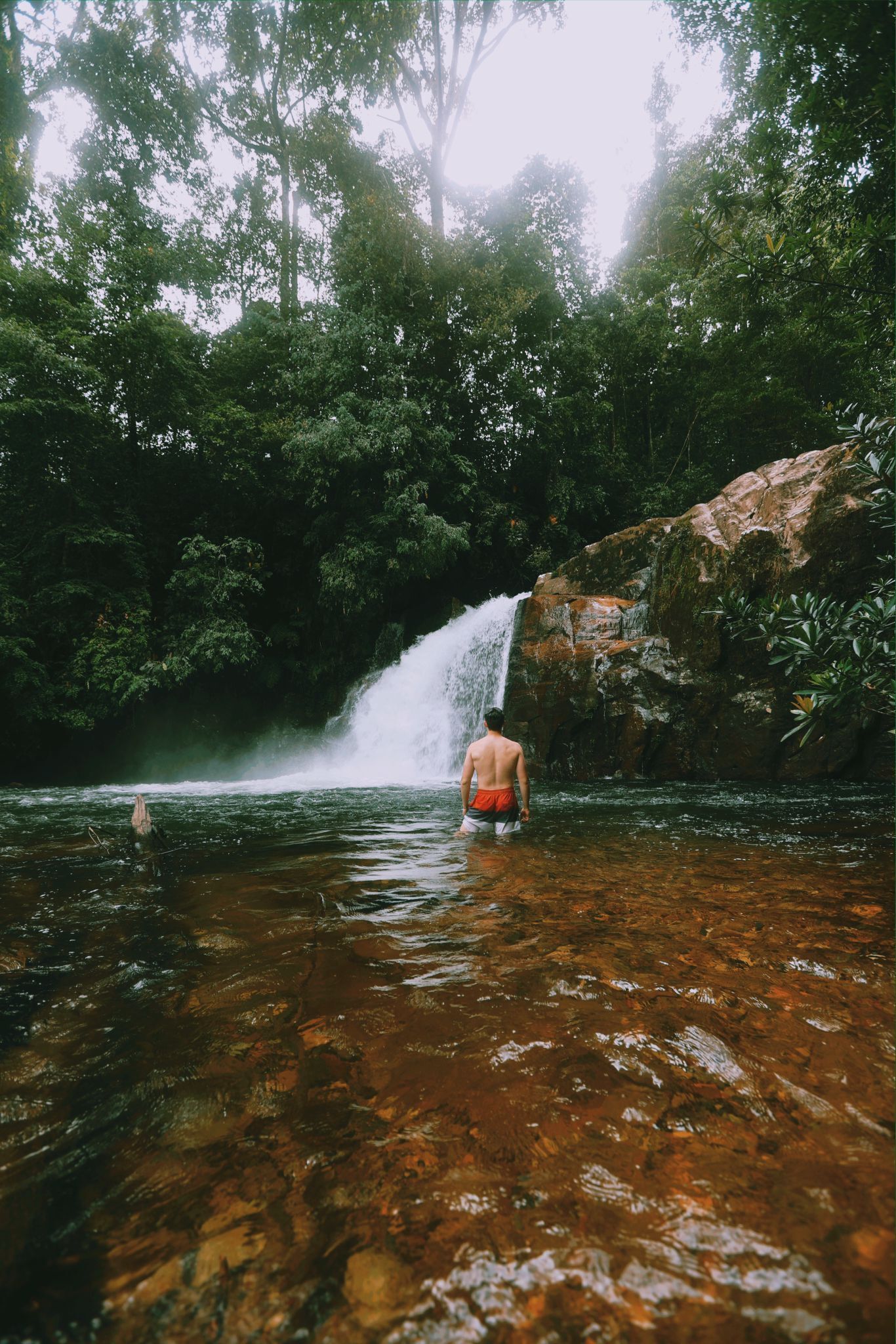 Un hombre sentado junto a una cascada en un área boscosa.