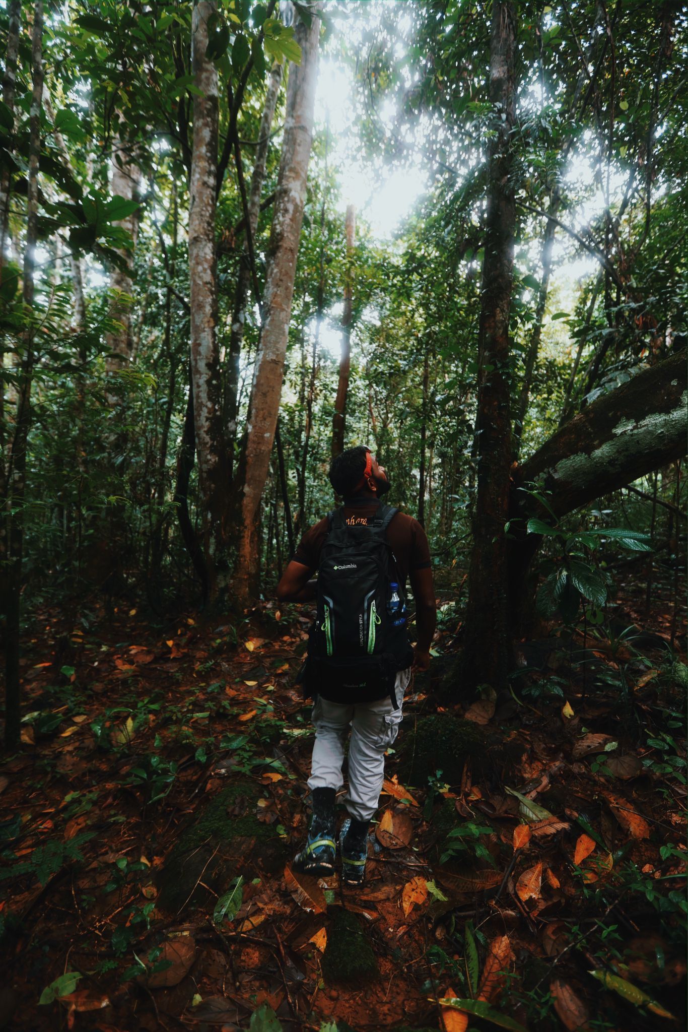 Una persona caminando por un bosque frondoso con árboles altos y una mochila.