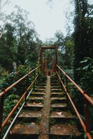 Caminatas