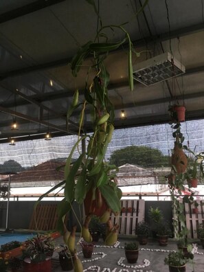 Property grounds - Anderson Hotel (Ipoh)