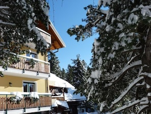 Exterior - Almhaus Blümel (Reichenau)