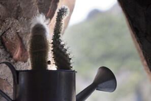 Miscellaneous - Il Comignolo di Sofia (Civita)