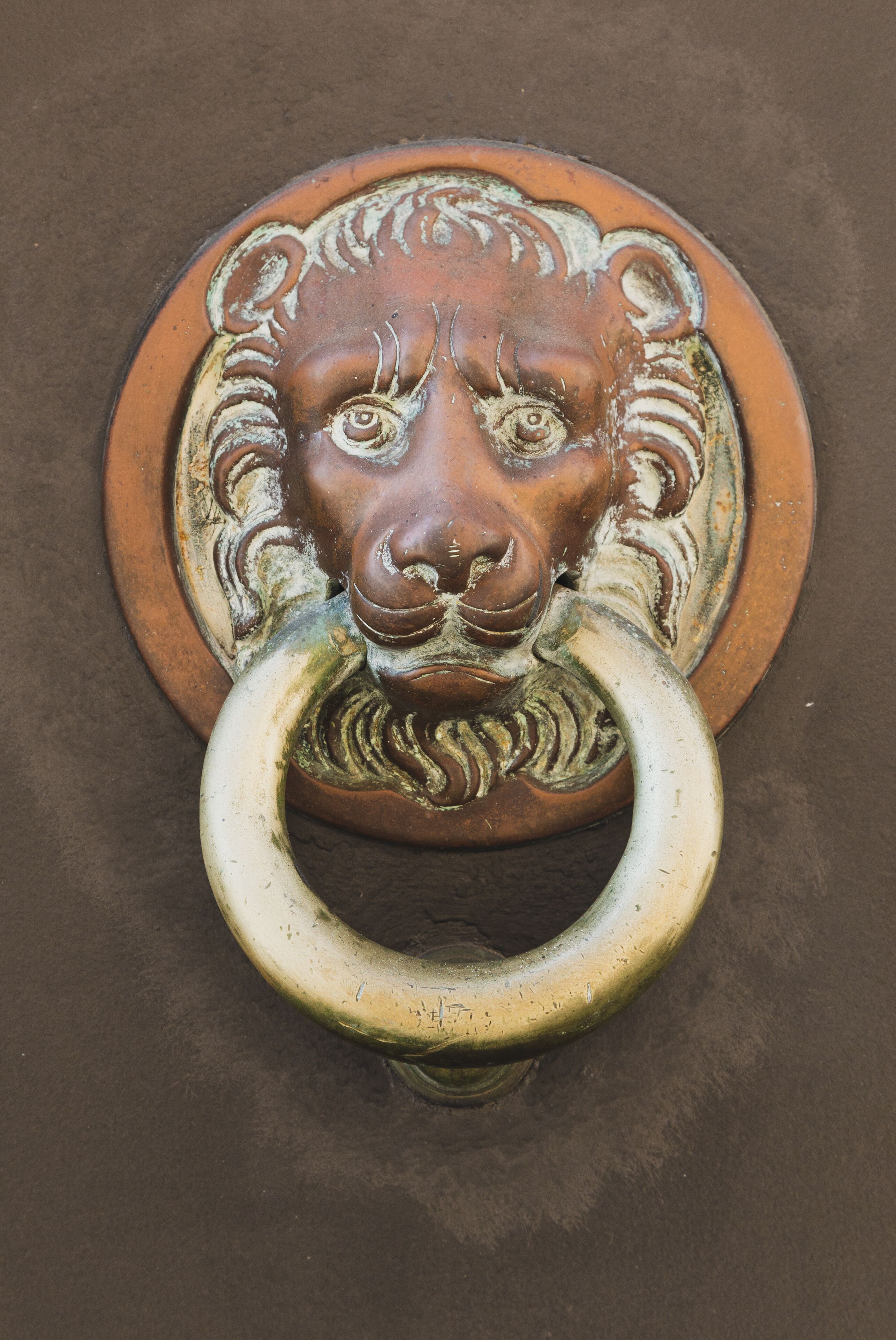 Un campanello a forma di testa di leone con anello.