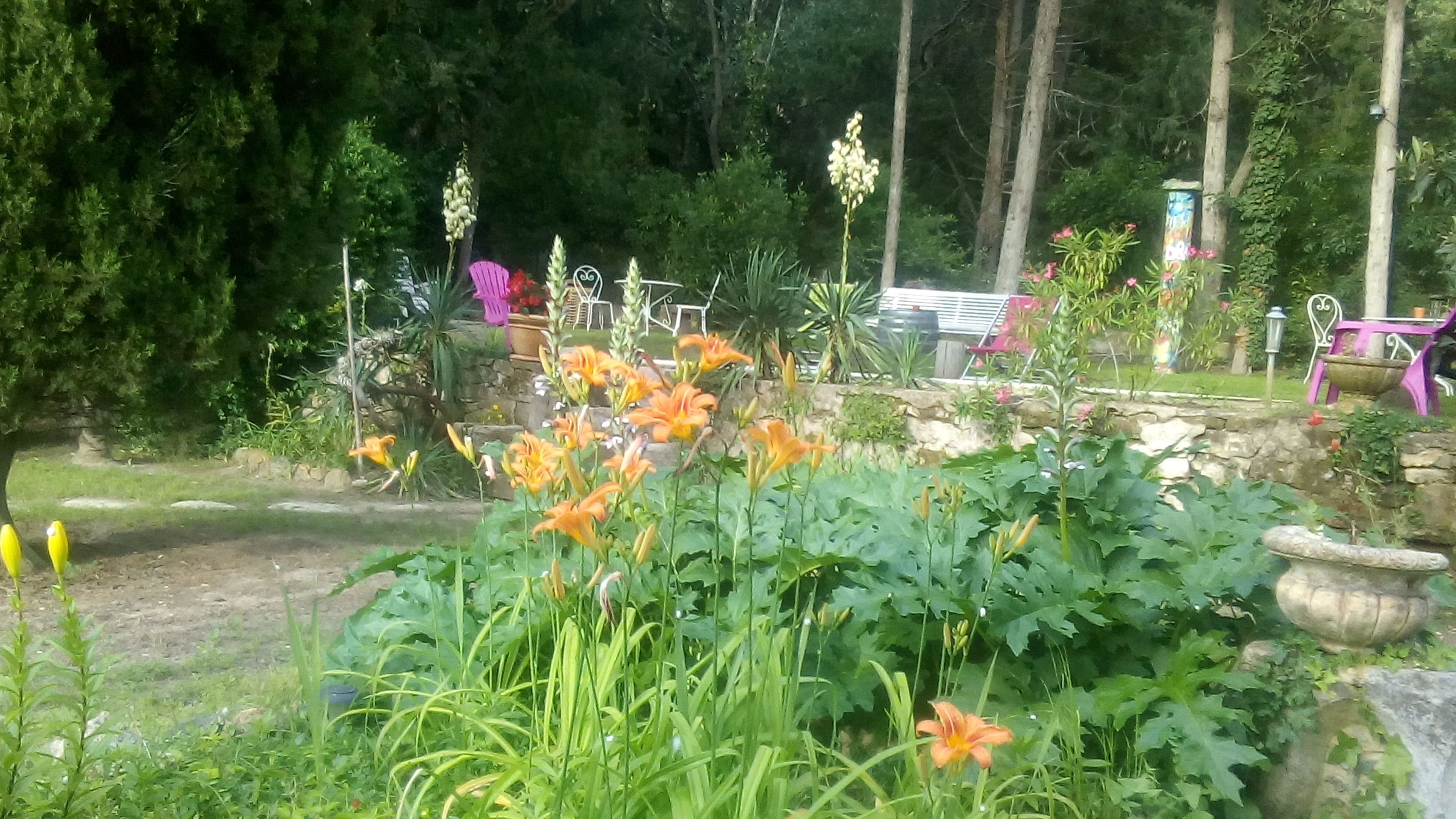Un jardin agrémenté de diverses plantes et fleurs, un mur en pierre et du mobilier d’extérieur.