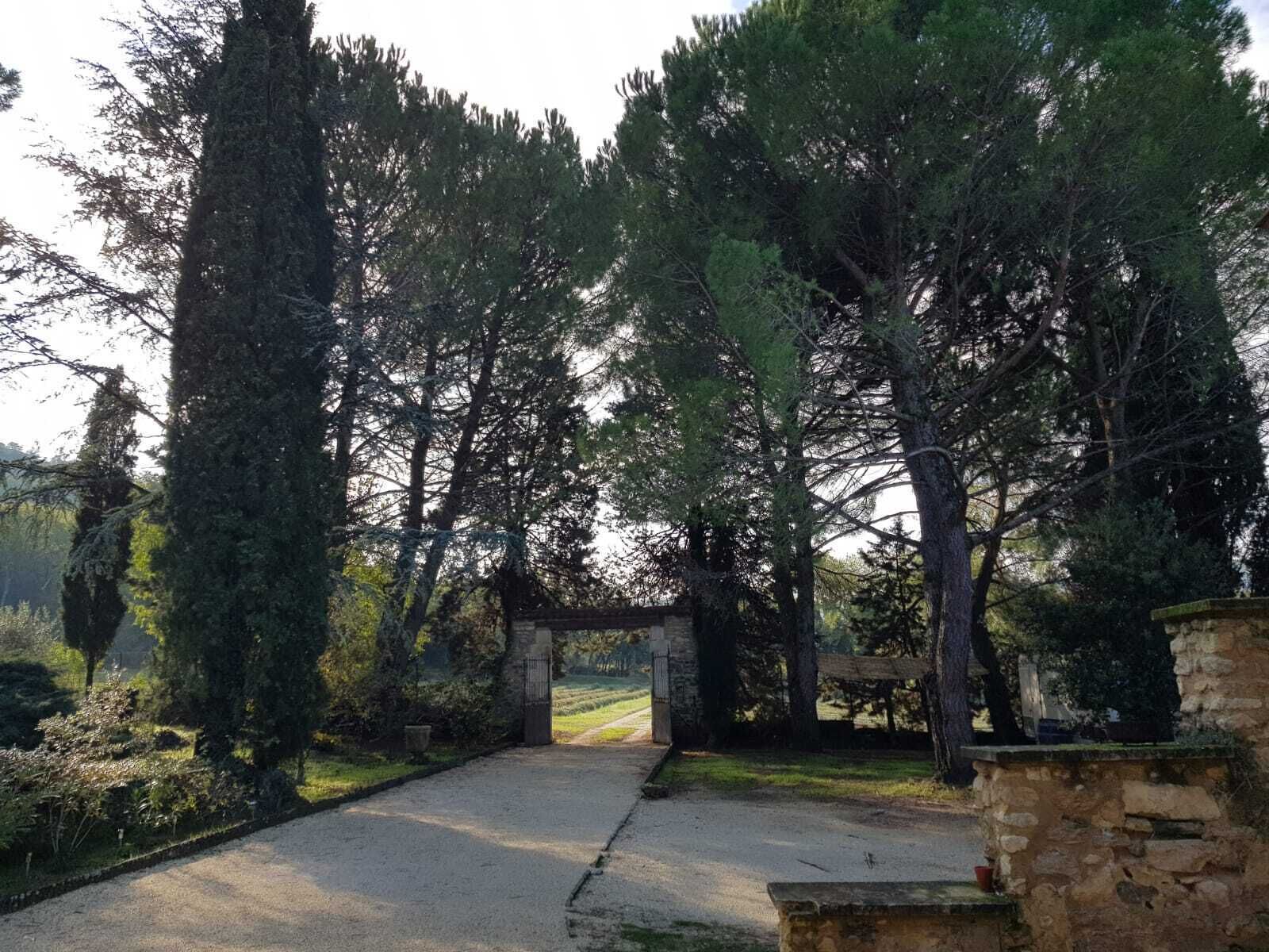 A paved pathway leading through a wooded area with stone structures and a stone archway.