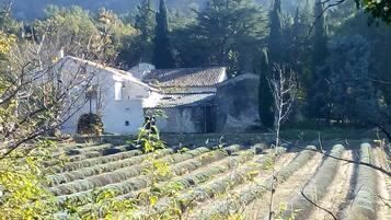 A traditional building with a tiled roof, surrounded by terraced fields and dense forest.