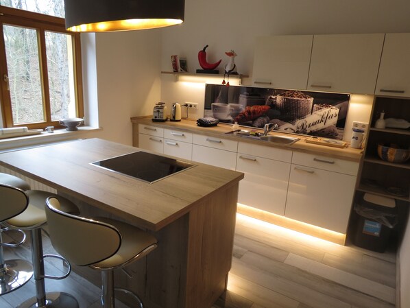 Apartment, Balcony | Private kitchen | Full-size fridge, oven, stovetop, dishwasher