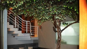 Una escalera de diseño moderno, un árbol en una maceta y un área de estar circular.