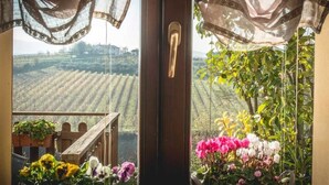 Vista per una finestra amb una porta de fusta i cortines, amb una vinya al fons.