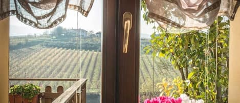 A view through a window with a wooden door and curtains, overlooking a vineyard.