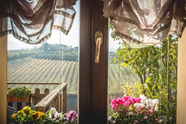 A view through a window with a wooden door and curtains, overlooking a vineyard. - Locanda Camera con Vista (Faenza)