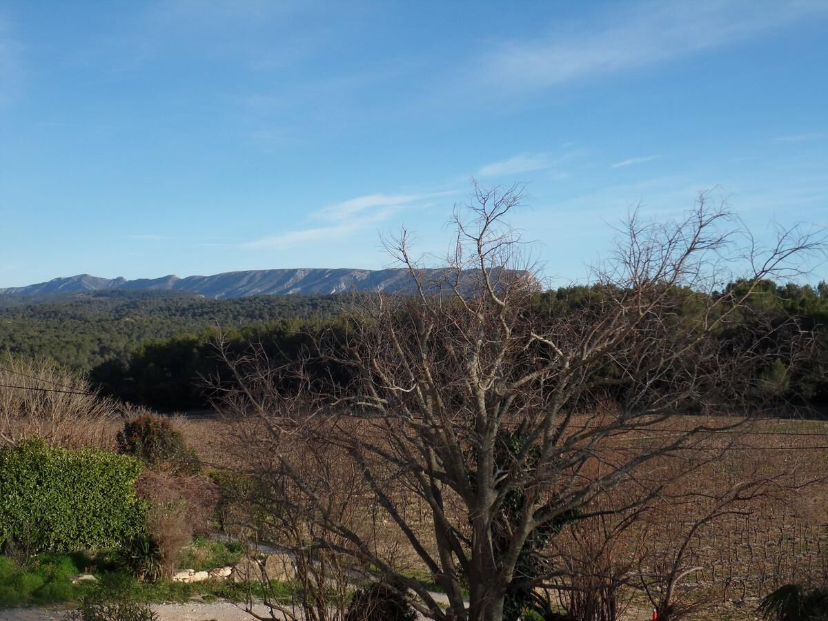 Un paysage naturel avec un arbre au premier plan, un ciel dégagé et des montagnes à l’horizon.