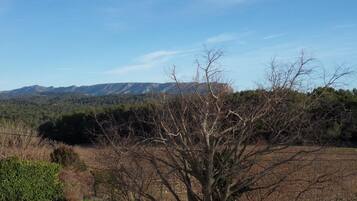 Eine natürliche Landschaft mit einem Baum im Vordergrund, blauem Himmel und fernen Bergen.