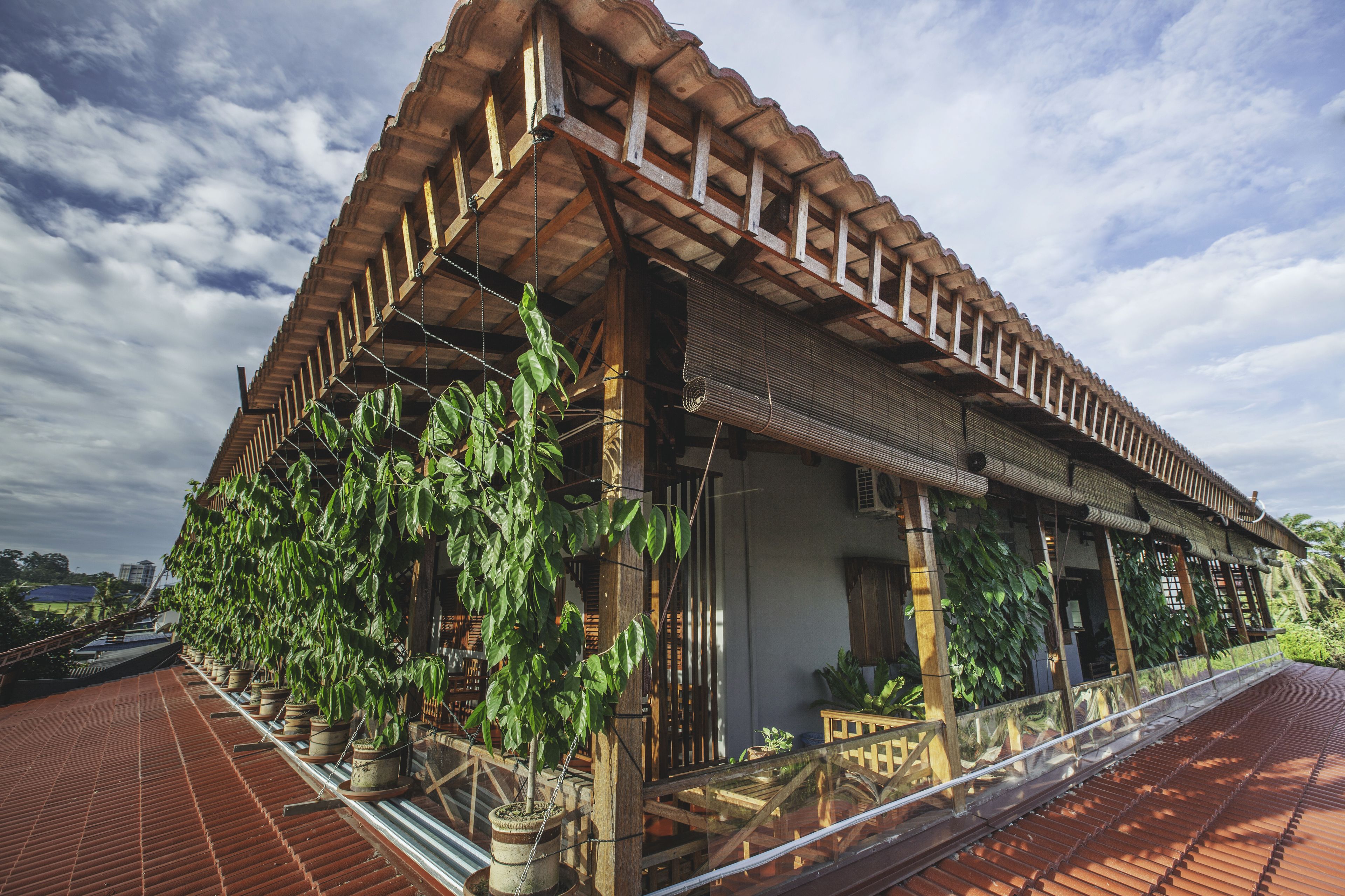 A traditional wooden building with a tiled roof, potted plants, and a wooden railing.