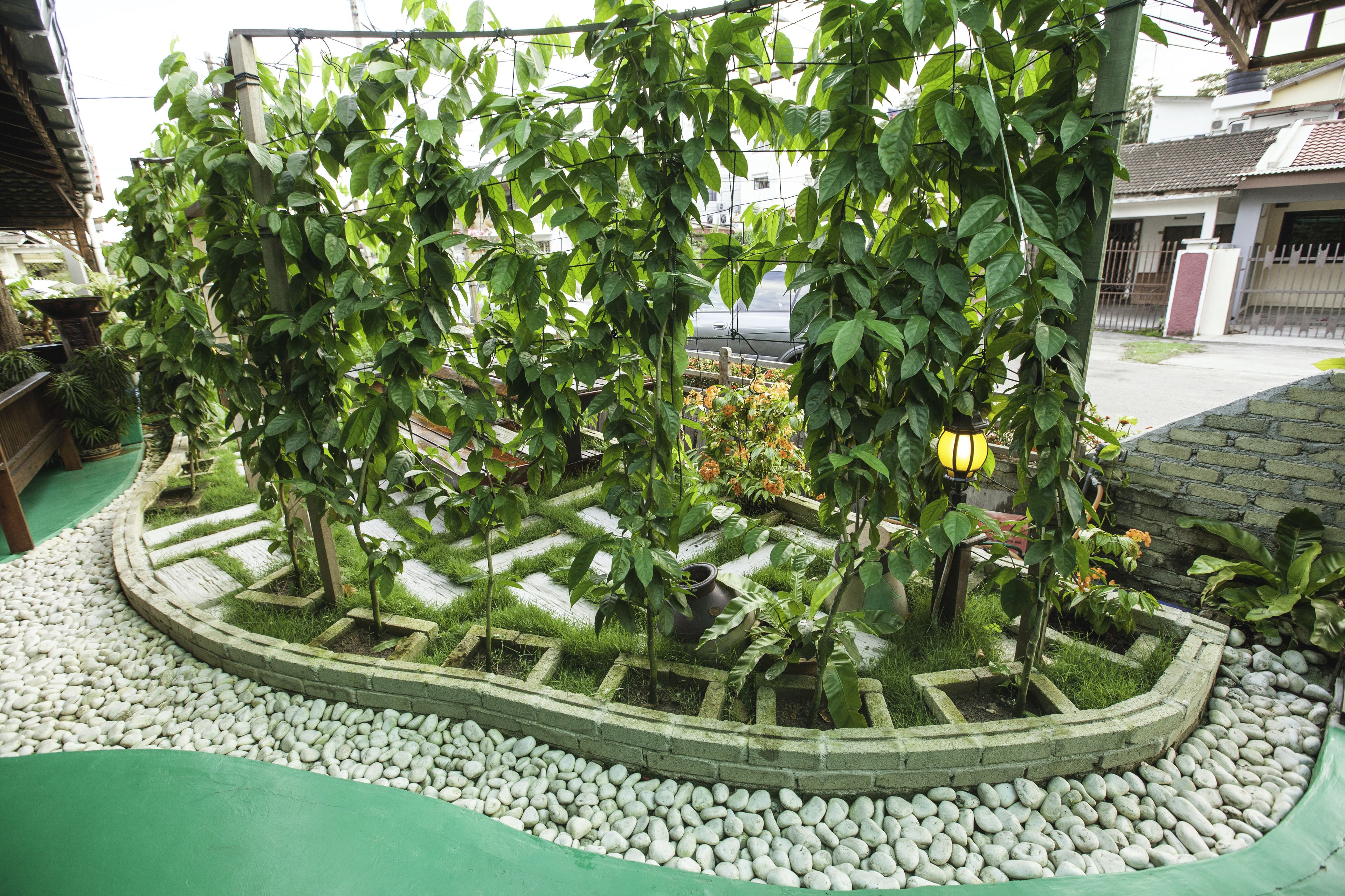 Un jardín con un sendero de piedra, plantas verdes y una pared de ladrillo.