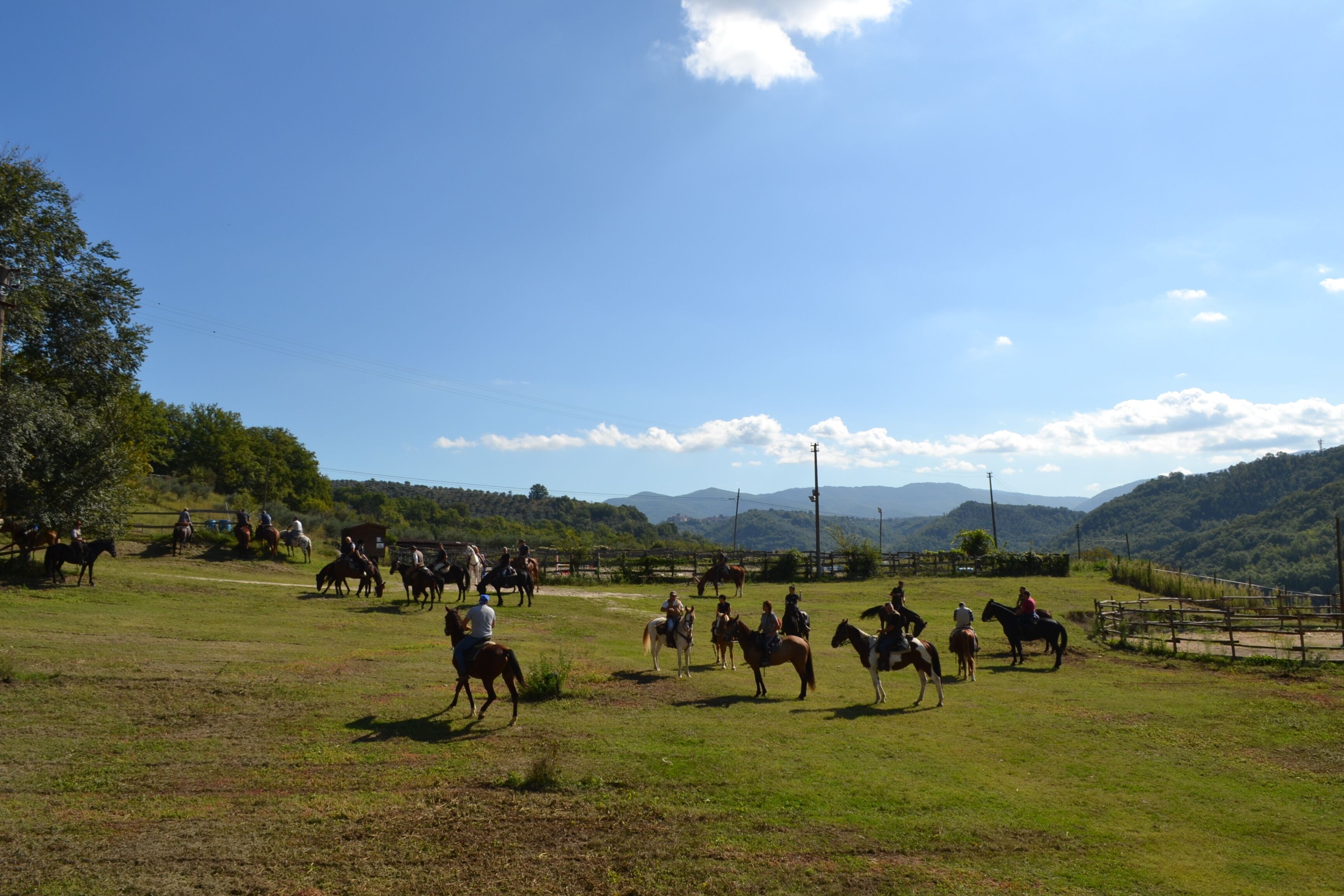 A group of people riding horses in an open field with a fence and trees in the background.