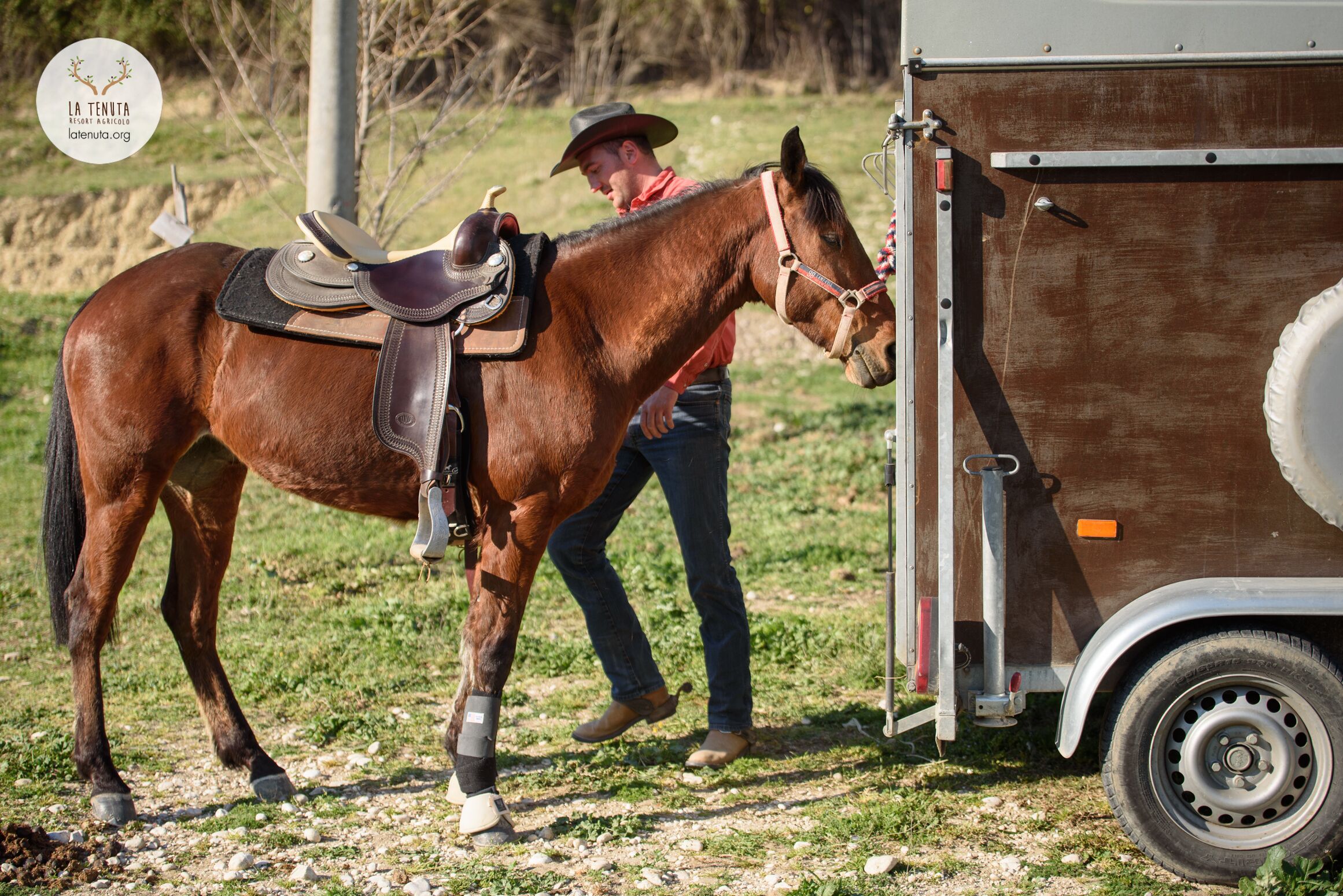 Un cheval équipé d’une selle et d’un mors, une remorque et une personne portant un jean et un chapeau.