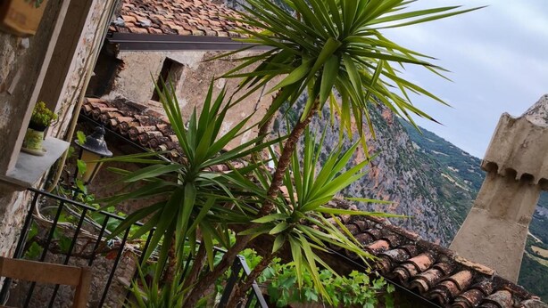 A balcony with potted plants, a chair, and a view of a mountainous landscape. - Bed & Breakfast Dhafna Civita (Civita)