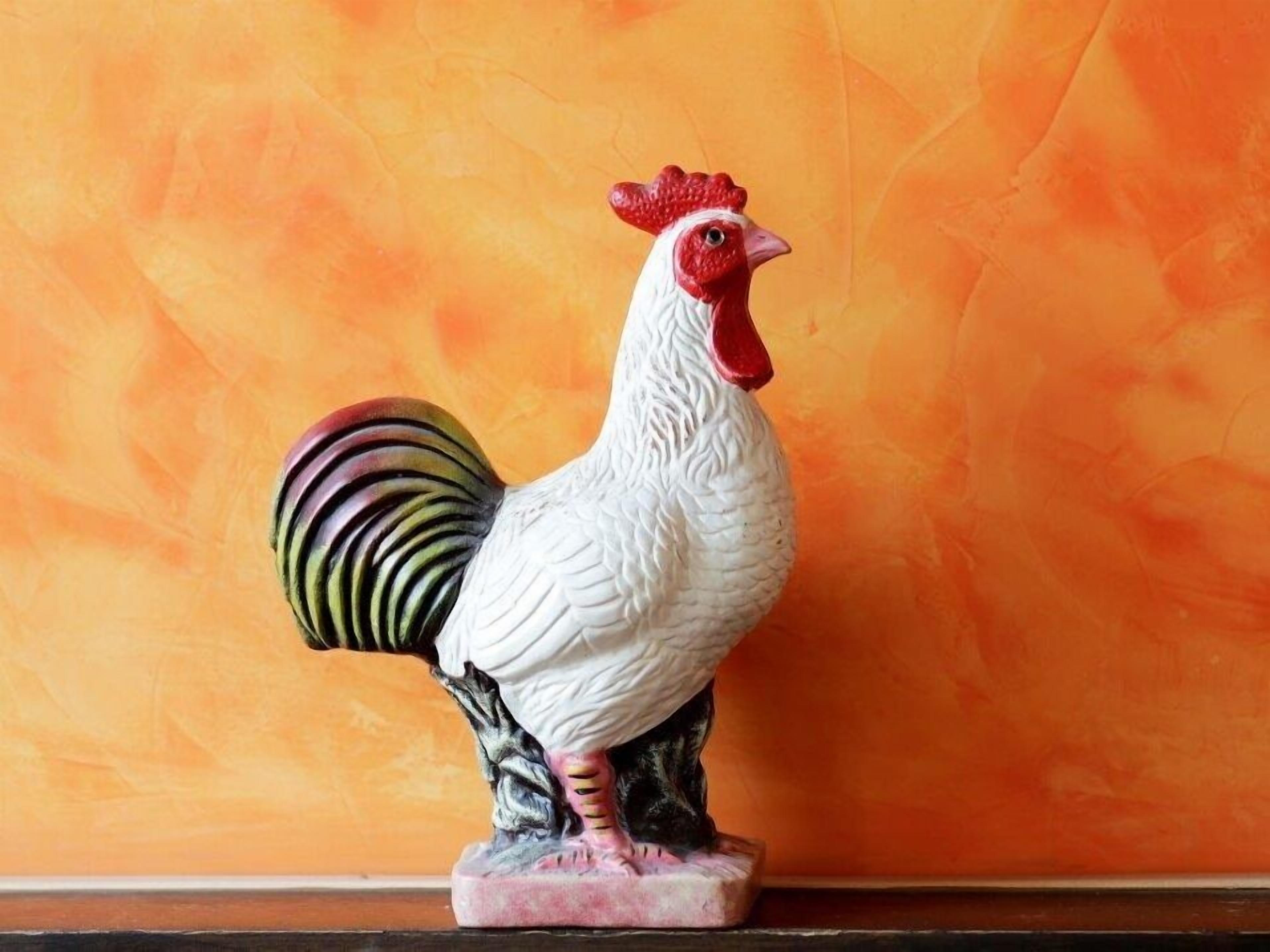 Foto - Hotel Goldener Hahn