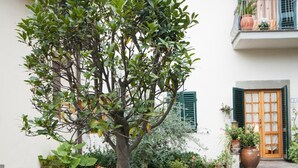 Property grounds - Guest House Le Piagge (Capraia e Limite)