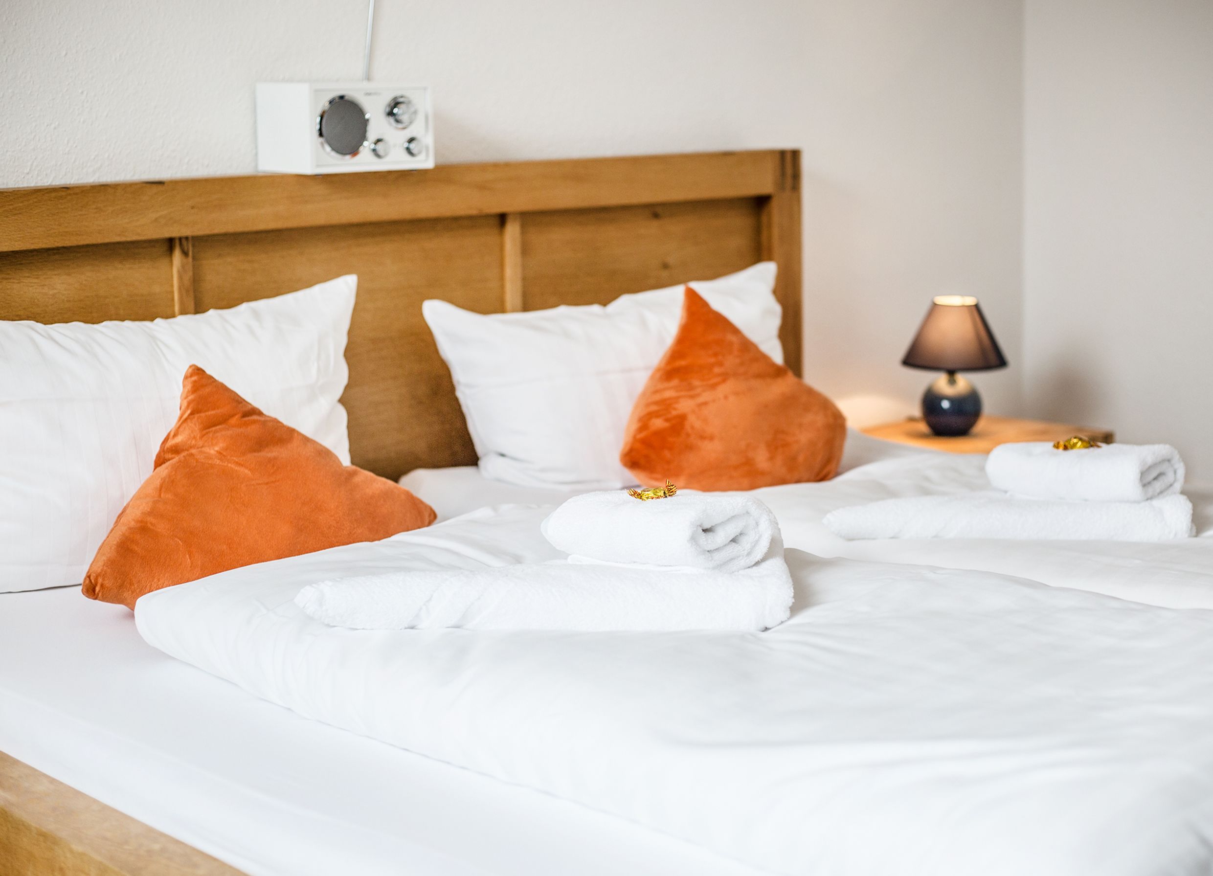 double room | 1 bedroom, minibar, free wifi, bed sheets