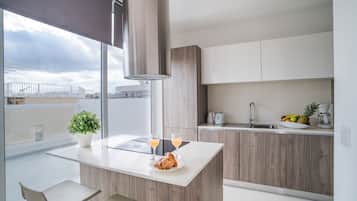 Apartamento City (4051. Penthouse) | Cocina privada | Frigorífico grande, microondas, horno y placa de cocina