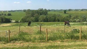 Un pastizal cercado con dos caballos pastando, rodeado de campos verdes y árboles bajo un cielo despejado.