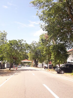 Esterni