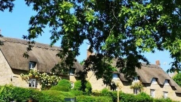 A row of traditional thatched-roof cottages with stone walls, surrounded by lush greenery and a clear blue sky. - Holly House Bed & Breakfast (Chipping Campden)