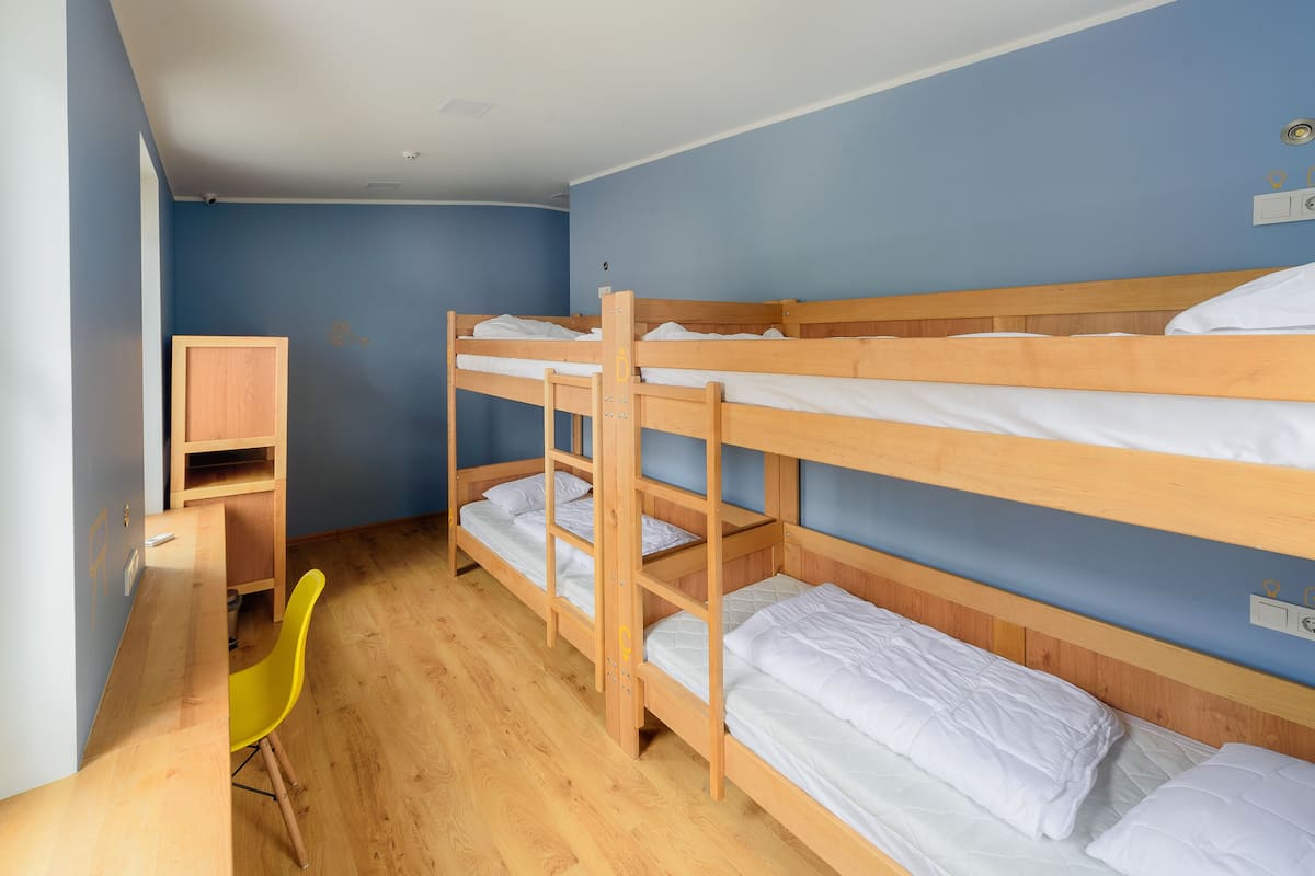 共用宿舍, 男女混合宿舍 (4 guests - 2) | 高級寢具、羽絨被、特厚豪華床墊、房內夾萬