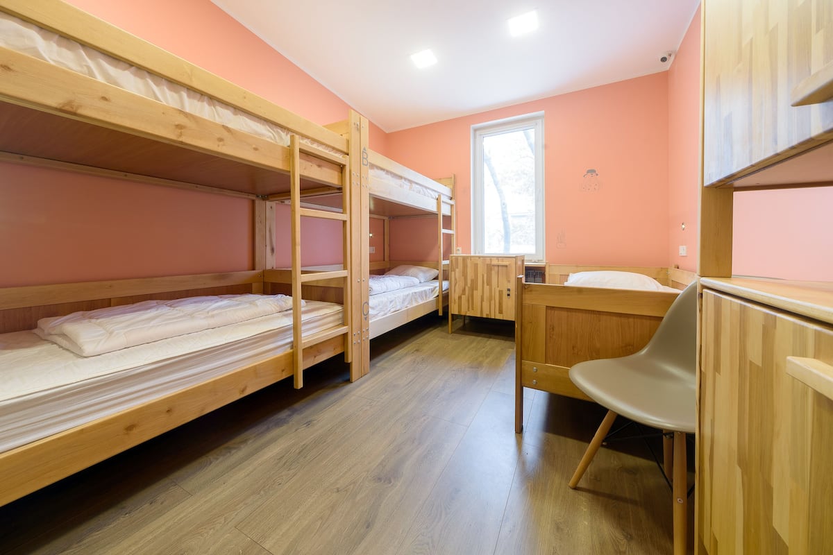 共用宿舍, 男女混合宿舍 (5 guests) | 高級寢具、羽絨被、特厚豪華床墊、房內夾萬