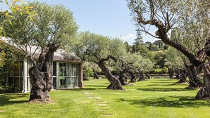 A garden with olive trees, a glass conservatory, and a paved walkway. - Domaine Les Mésanges (Gassin)