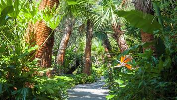 Minibar, décoration personnalisée, rideaux occultants