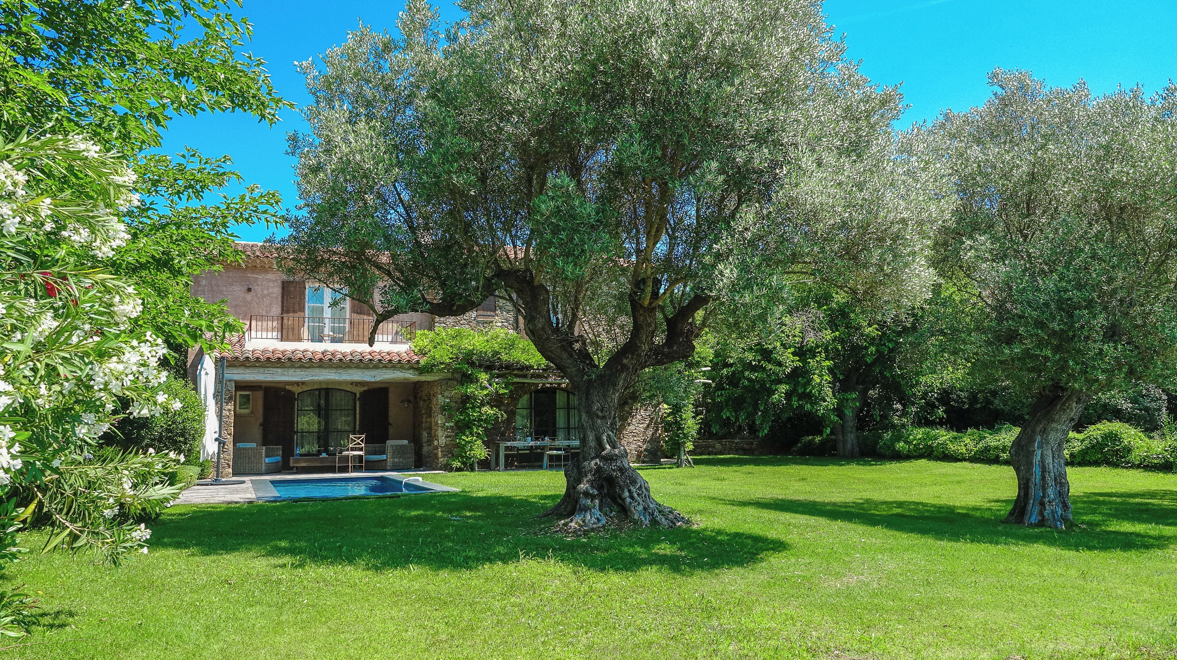 Uma casa com piscina, cercada por vegetação exuberante e árvores.