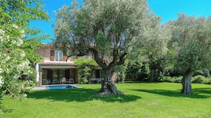 Una casa con piscina, rodeada de abundante vegetación y árboles.