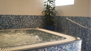 A hot tub with a mosaic tile border, a potted plant, and a handrail. - Hôtel Restaurant SPA Les Soldanelles (Fontcouverte-la-Toussuire)