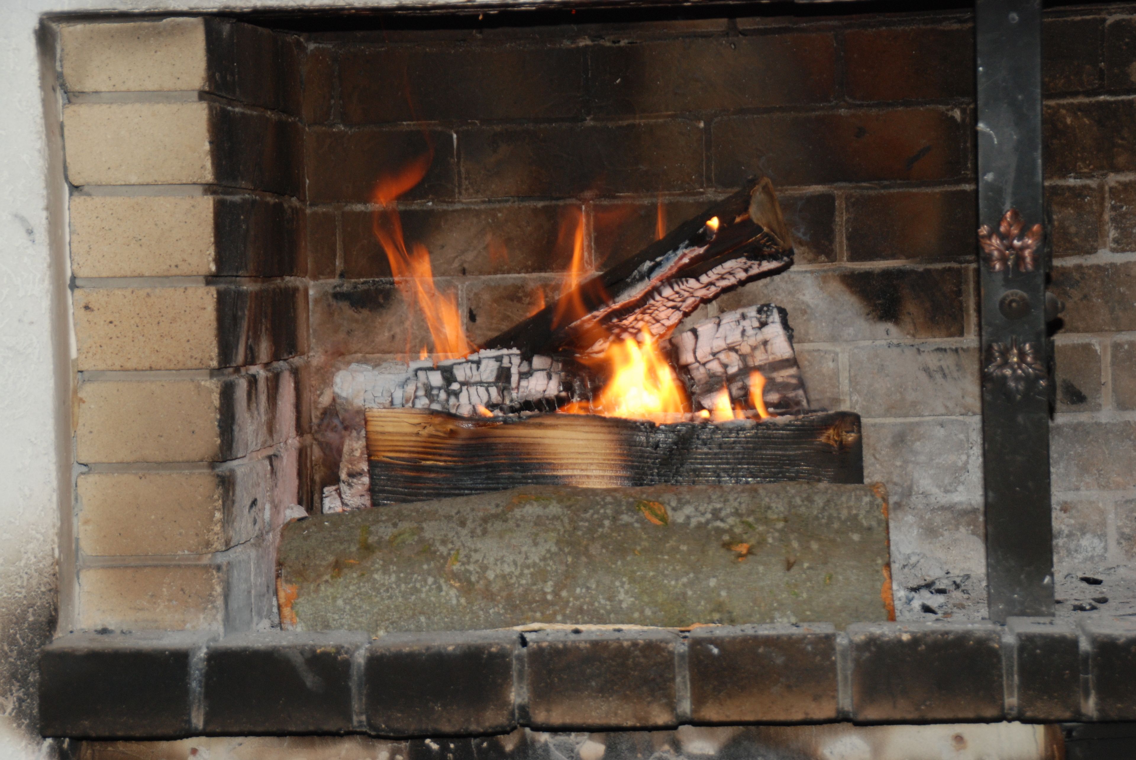 Una chimenea con leña encendida.