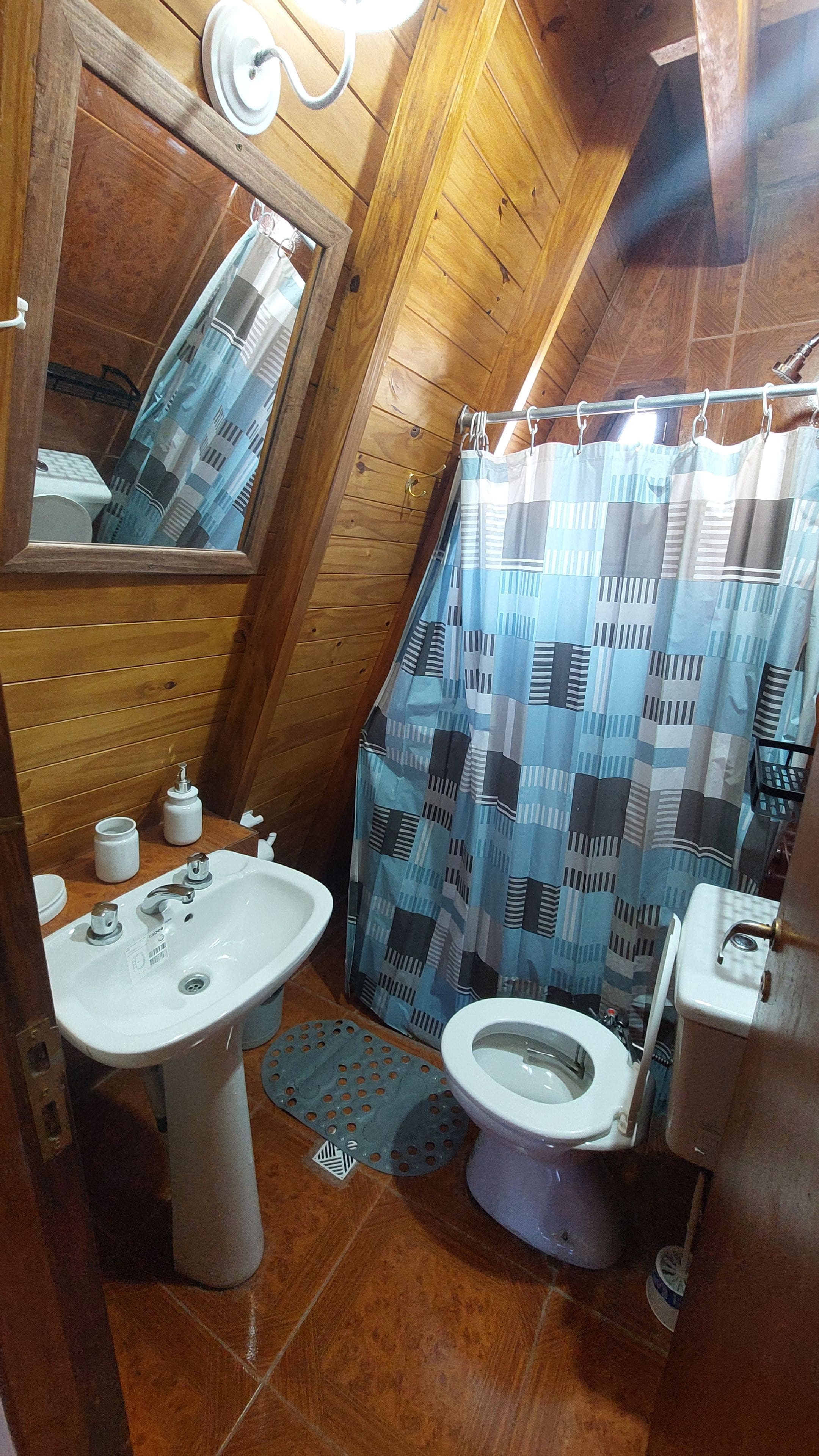 Een badkamer met een houten plafond, een wastafel, een toilet en een douchegordijn.