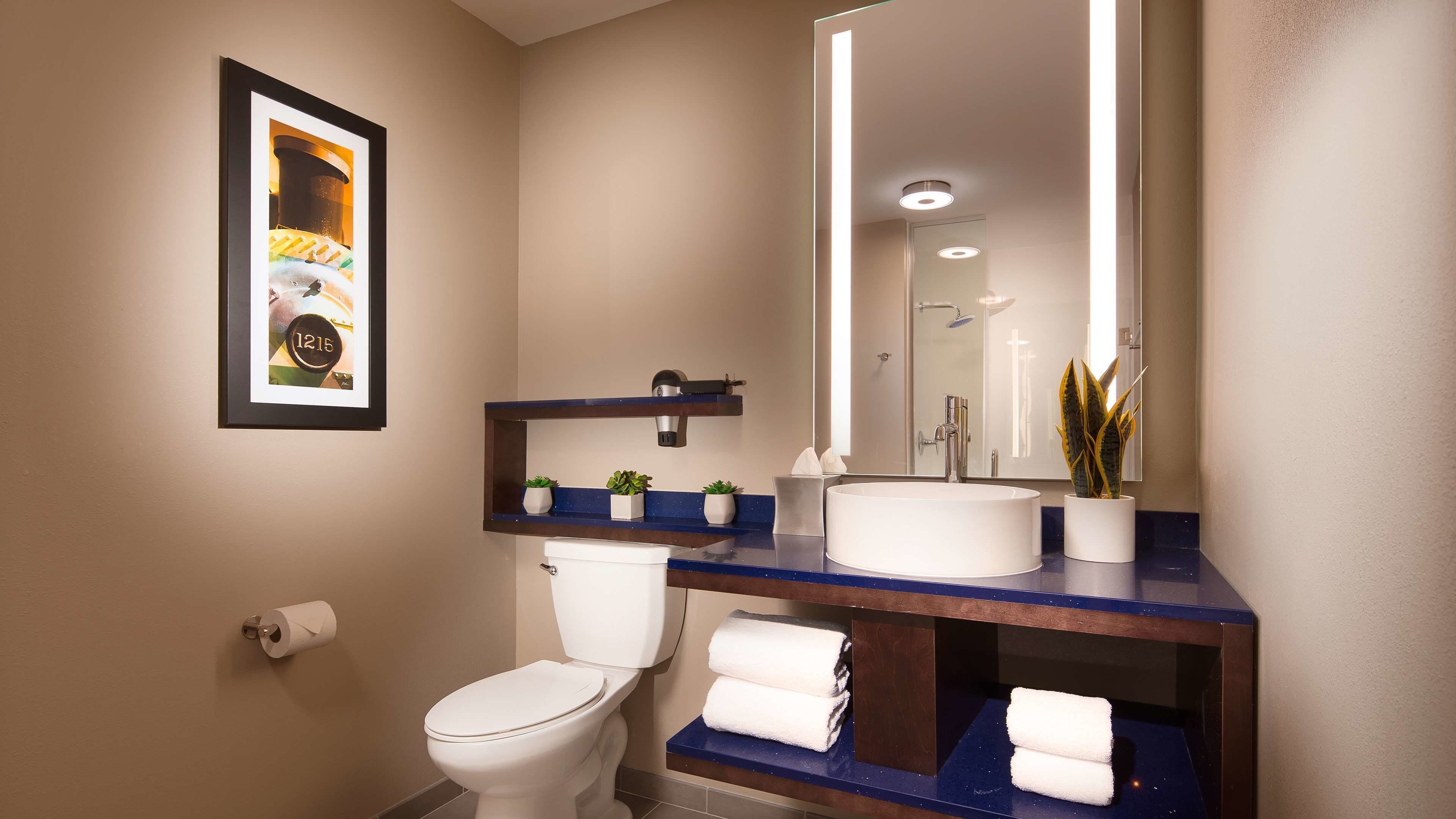 shower, hydromassage showerhead, eco-friendly toiletries, hair dryer