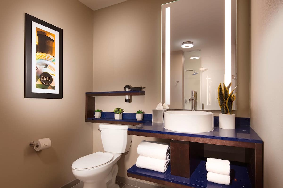 shower, hydromassage showerhead, eco-friendly toiletries, hair dryer