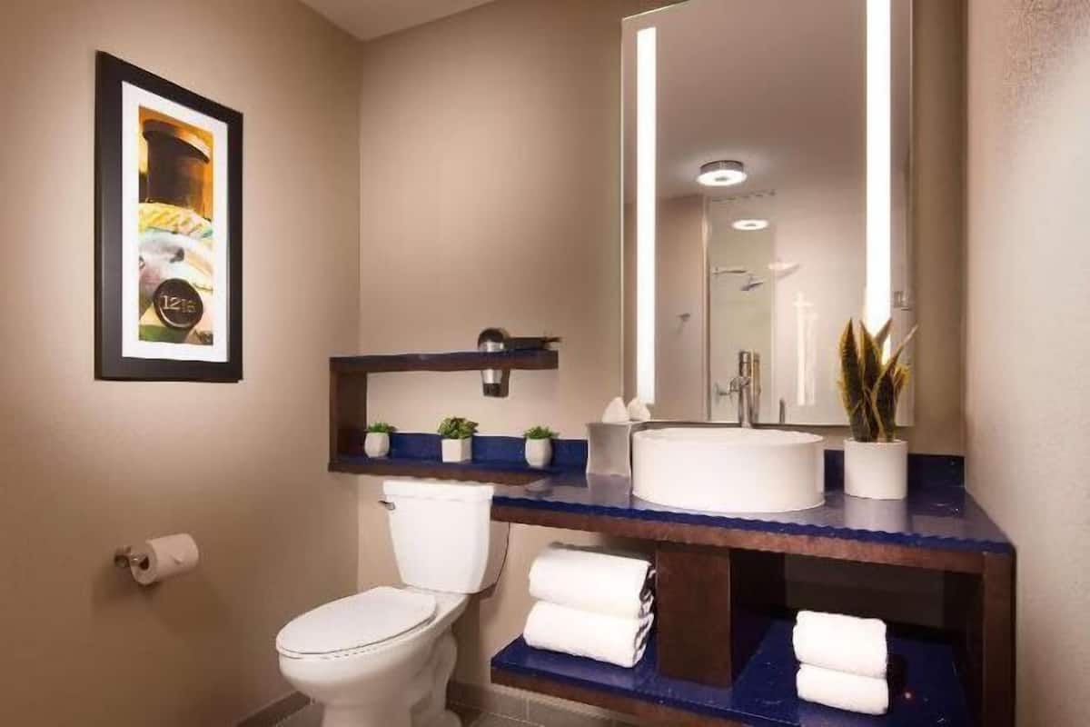 Banheiro | Chuveiro, ducha de hidromassagem, produtos de toalete biodegradáveis