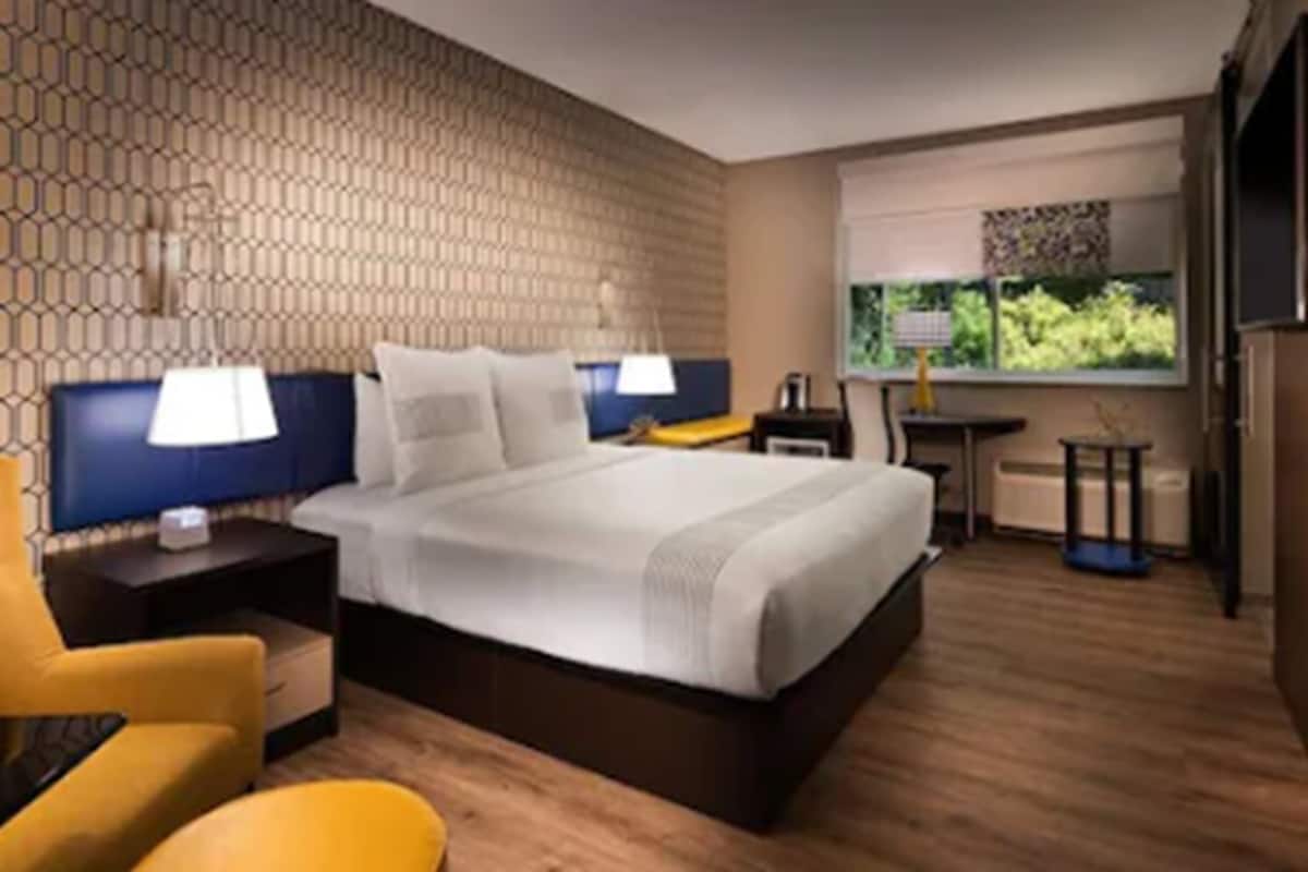 standard room, 1 king bed, non smoking, refrigerator & microwave | laptop workspace, blackout curtains, iron/ironing board