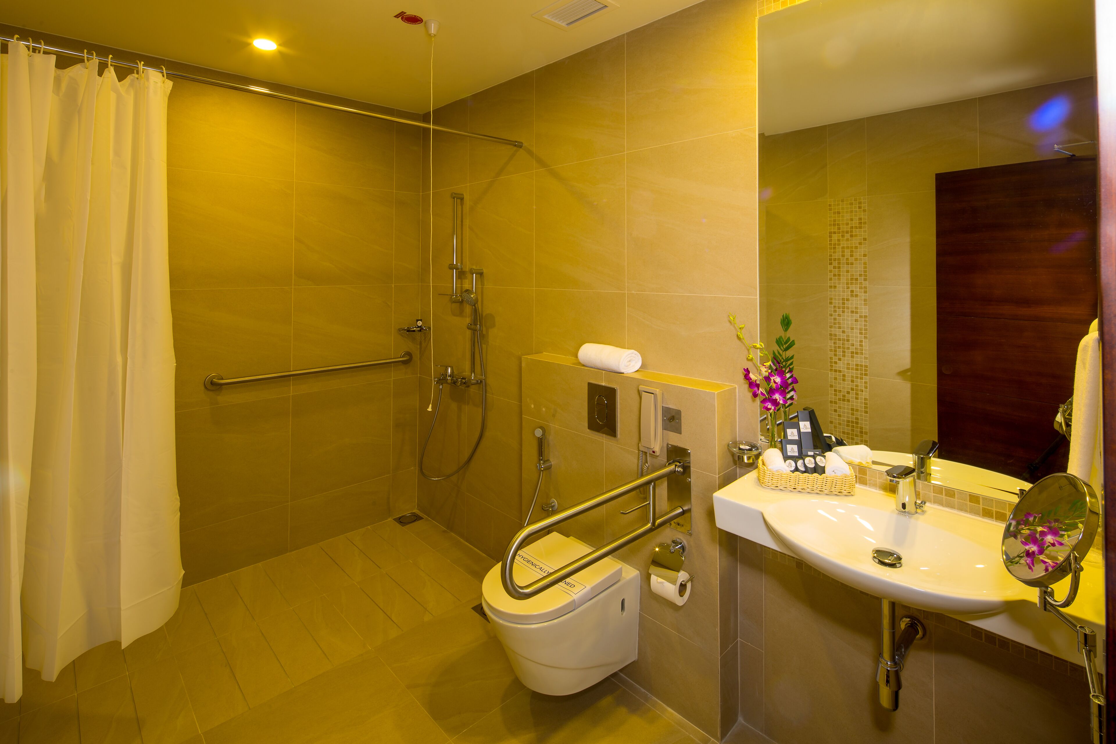 standard room, 1 king bed, accessible | bathroom | shower, rainfall showerhead, free toiletries, hair dryer